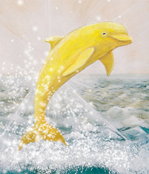 Dauphin jaune